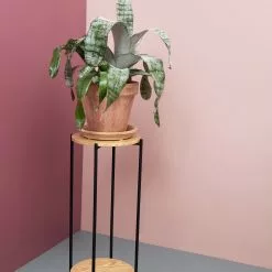 Schou Company A/S DAY Kukkapöytä Ø 30 Cm 7 Schou Company A/S DAY Kukkapöytä Ø 30 Cm -Myynti Säilytyskalusteet Day 2Dkukkapoyta 2D30cm 5Fmilj 2D1