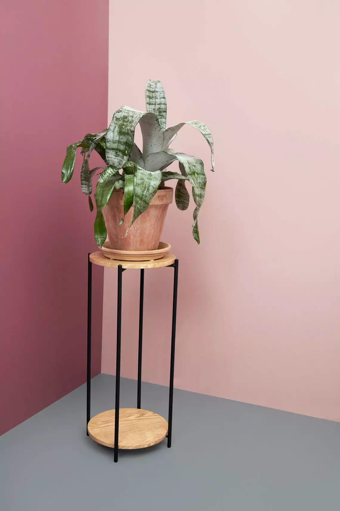 Schou Company A/S DAY Kukkapöytä Ø 30 Cm 4 Schou Company A/S DAY Kukkapöytä Ø 30 Cm - Image 4