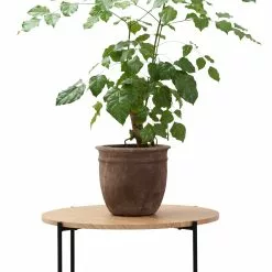 Schou Company A/S DAY Sohvapöytä Ø 55 Cm 7 Schou Company A/S DAY Sohvapöytä Ø 55 Cm -Myynti Säilytyskalusteet Day 2Dsohvapoyta 2D55cm 5F4