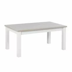 Leo-Matti Ojala Oy KIVI Sohvapöytä 100 X 60 Cm -Myynti Säilytyskalusteet Kivi sohvapoyta 100x60 saarni